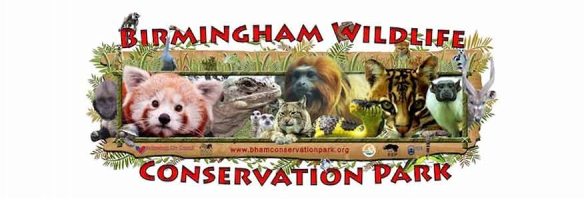 Birmingham Wildlife Conservation Park - Heroes Of Adventure