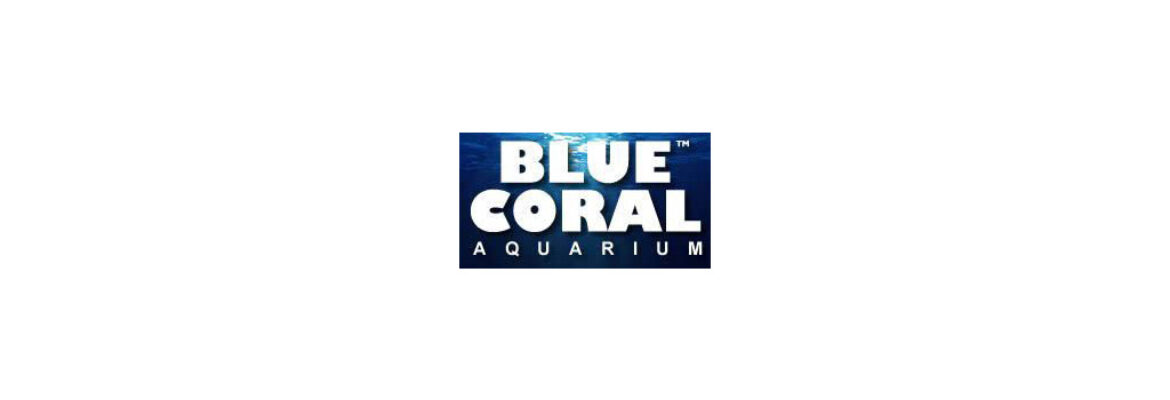 Blue Coral Aquarium KL Tower