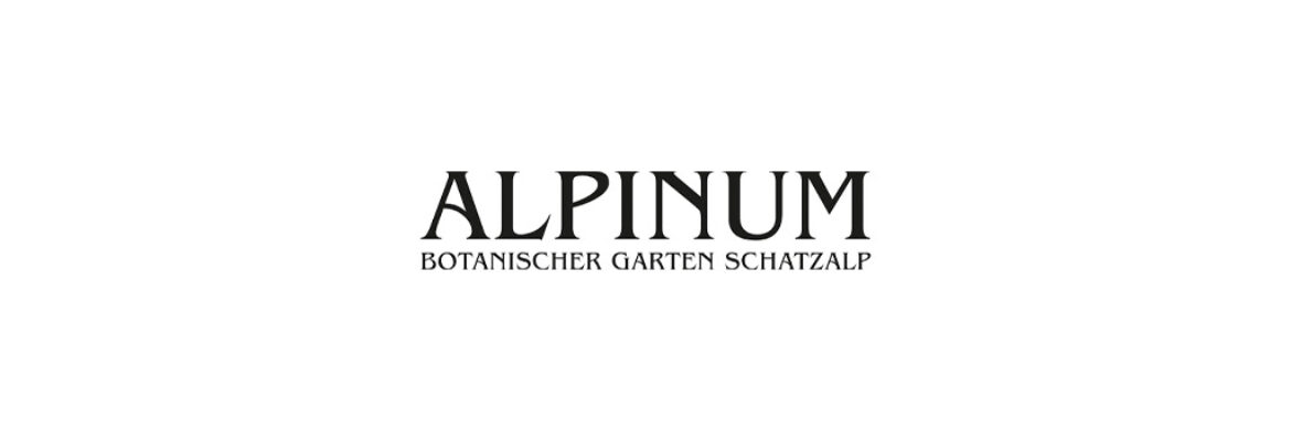 Botanischer Alpengarten Schatzalp ‘Alpinum’