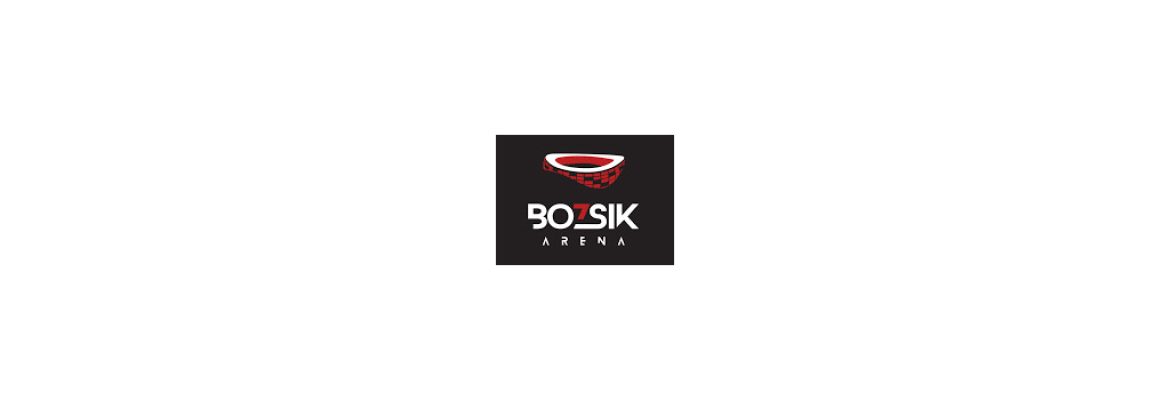 Bozsik Aréna