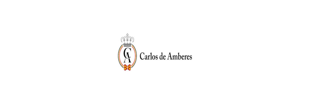 Carlos de Amberes Foundation