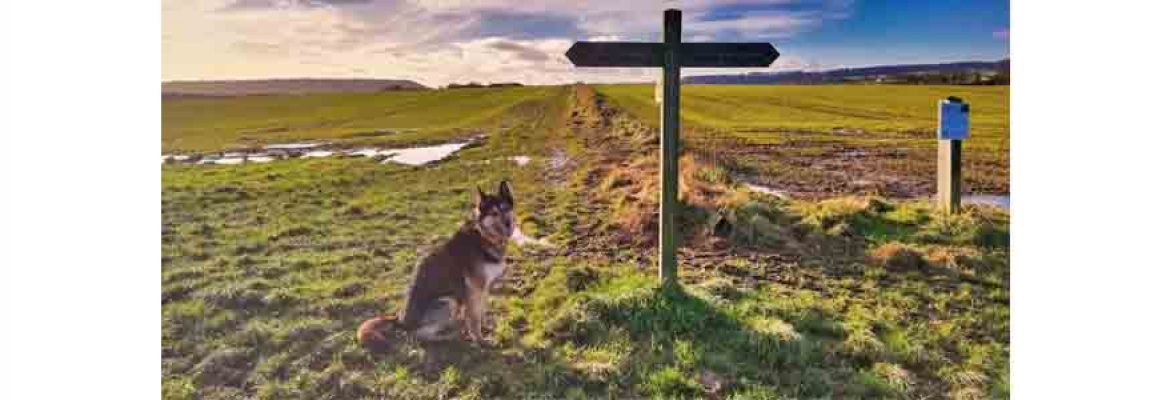 Cleveland Way