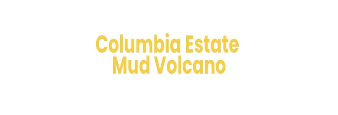 Columbia Estate Mud Volcano