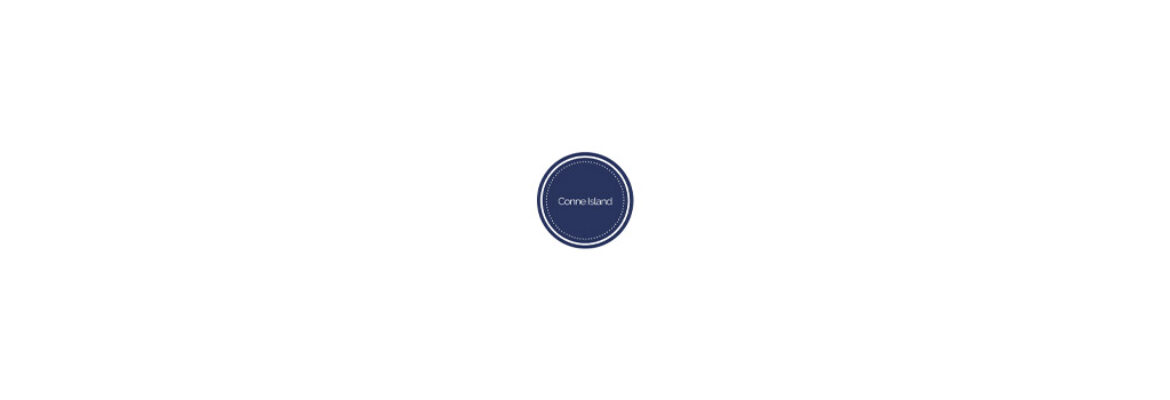 Conne Island Culture Center