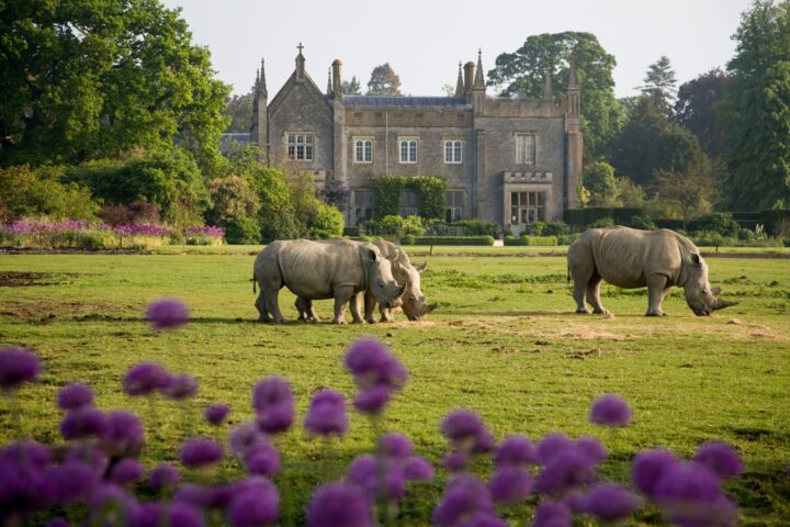 Cotswold Wildlife Park & Gardens