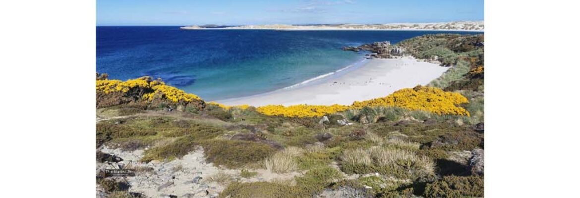 Cutter Cove