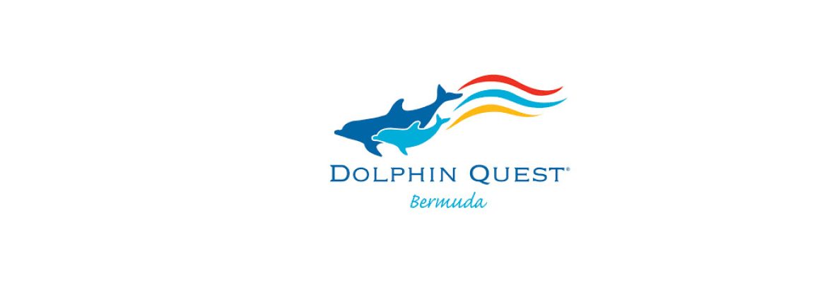 Dolphin Quest Bermuda