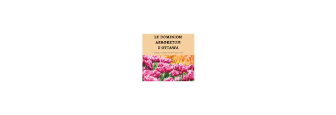 Dominion Arboretum