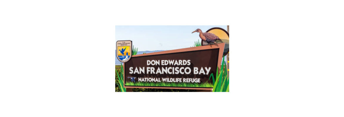Don Edwards San Francisco Bay National Wildlife Refuge