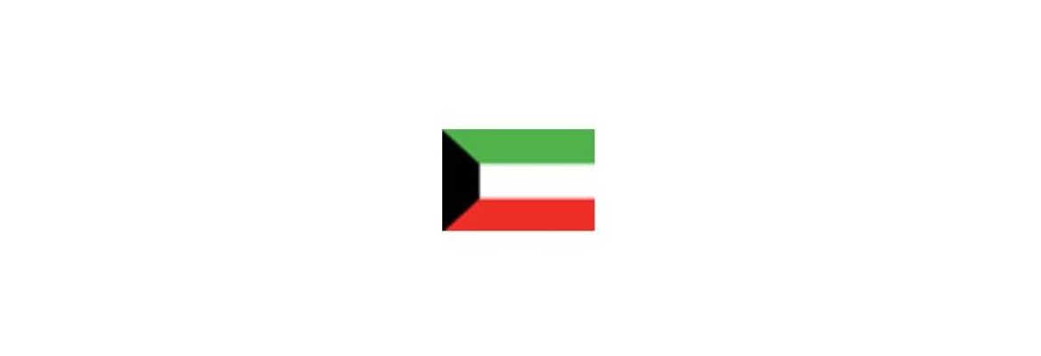 Ambassador Bader Al-Munaikh