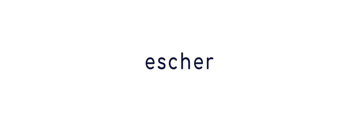 Escher in the Palace