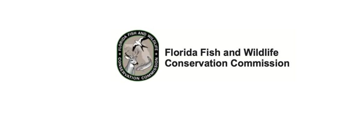 Everglades and Francis S. Taylor Wildlife Management Area – WCA 3AN