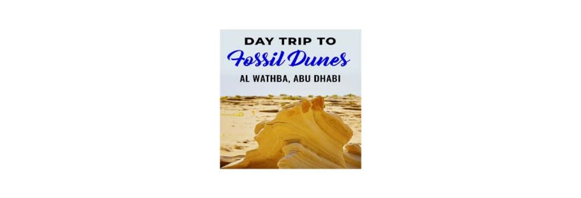 Fossil Dunes Al Wathba
