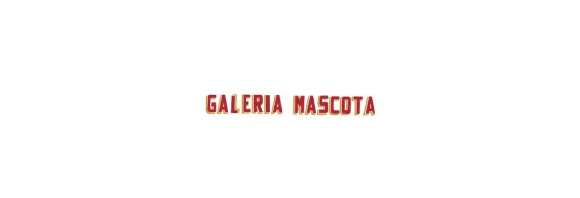 Galería Mascota