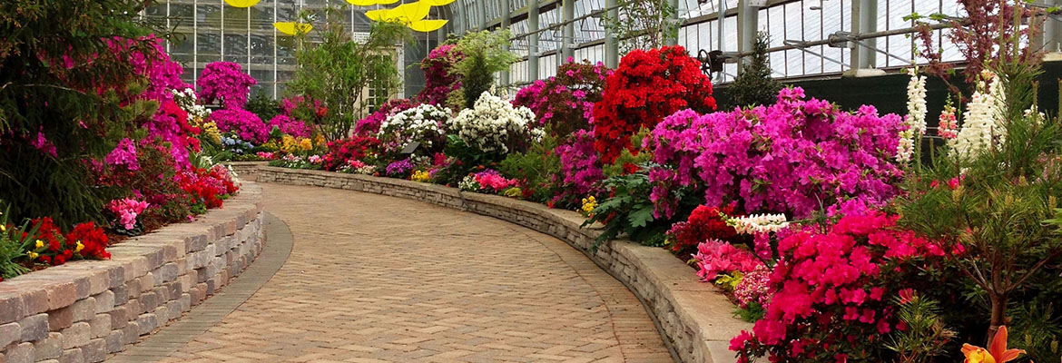 Garfield Park Conservatory - Heroes Of Adventure