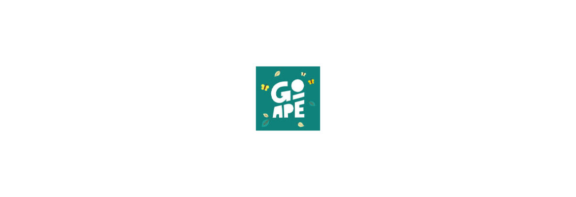 Go Ape Temple Newsam