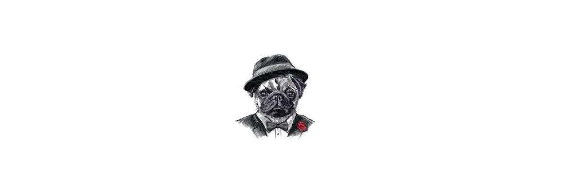 HOTEL PUG SEAL POLANCO ALLAN POE