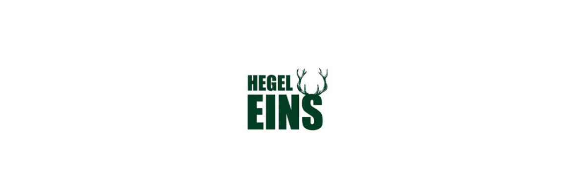 Hegel Eins