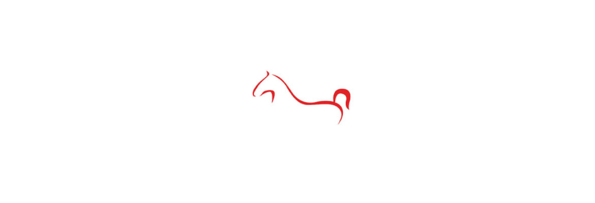 Horse Riding Madrid