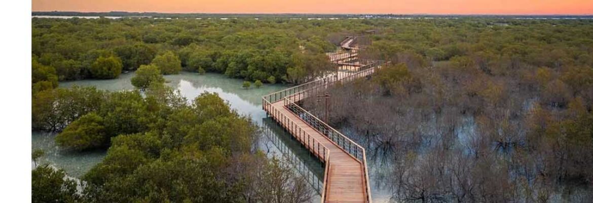 Jubail Mangrove Park