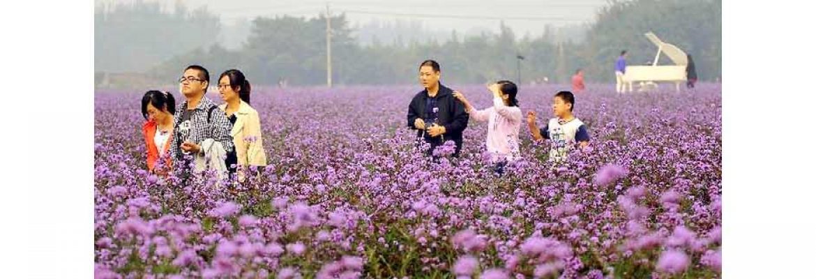 Xizhazi Ecological Sightseeing Garden