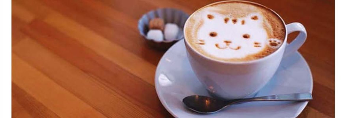 Lazzy Project Cafe