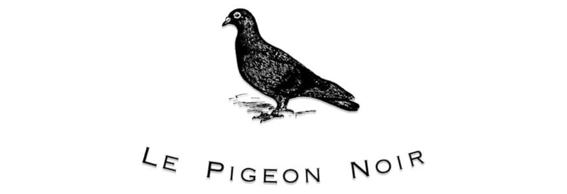 Le Pigeon Noir