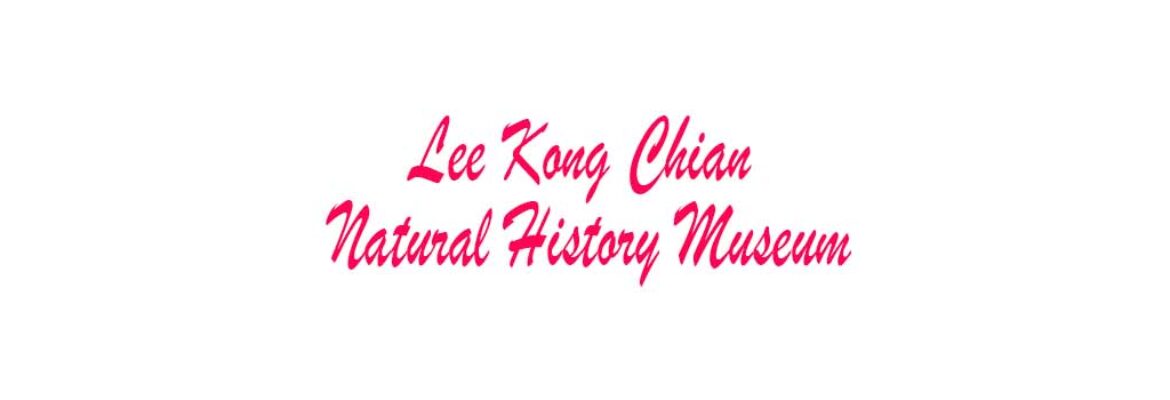 Lee Kong Chian Natural History Museum