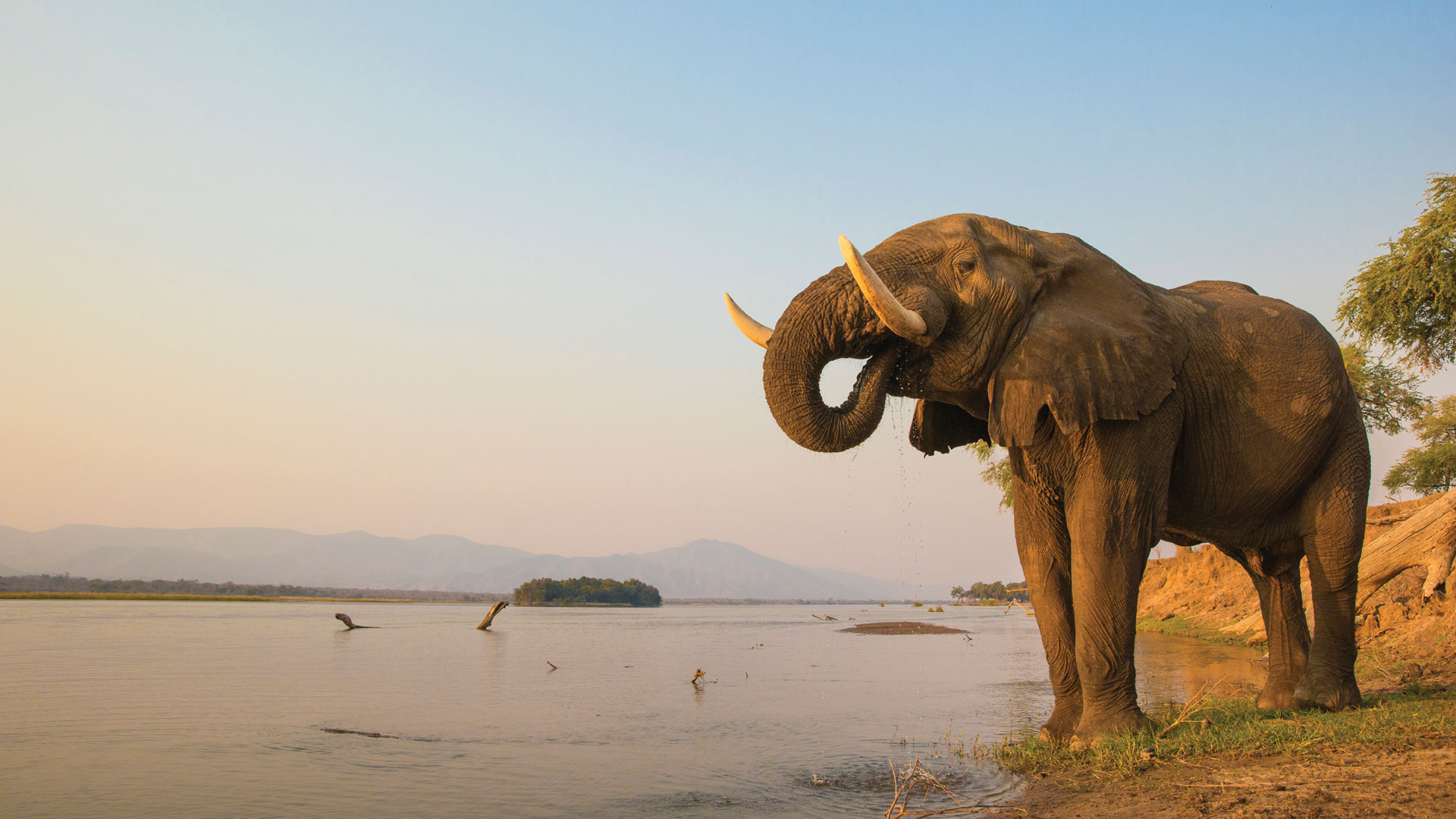 Mana Pools National Park - Heroes Of Adventure