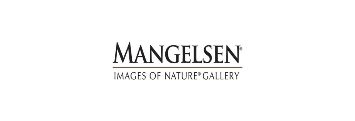 Mangelsen – Images of Nature Gallery