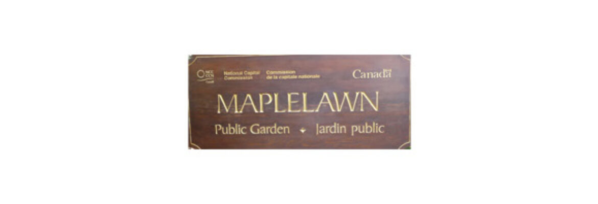 Maplelawn Garden