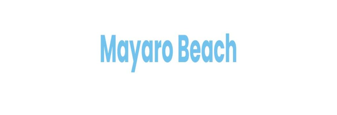 Mayaro Beach