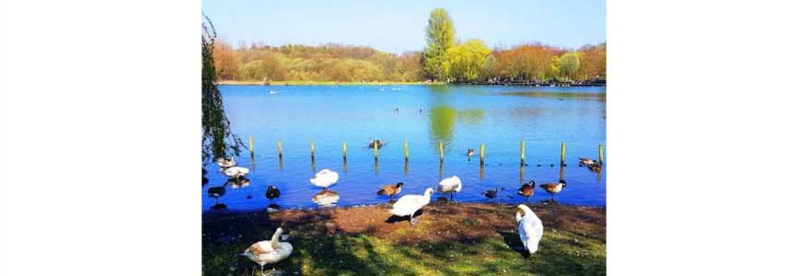 Moses Gate Country Park