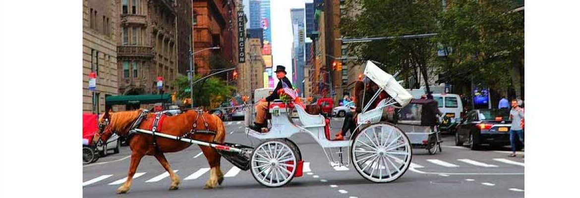 NYC Horse Carriage Rides