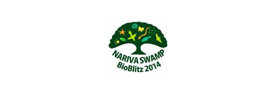 Nariva Swamp