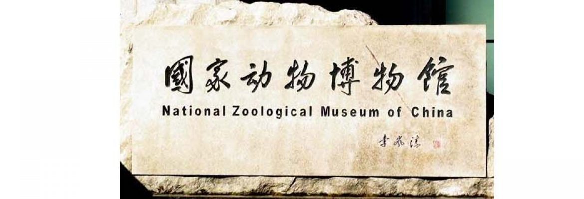 National Zoological Museum of China