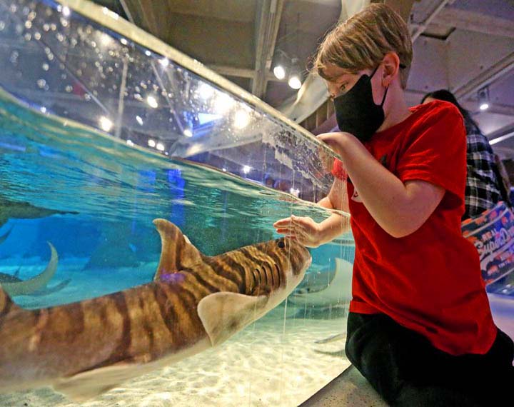 new-england-aquarium