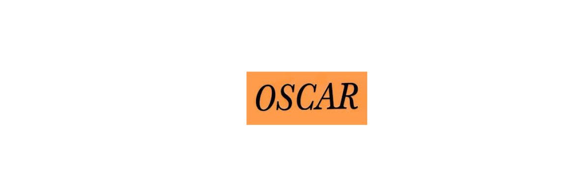 Oscar Boutique Shopping