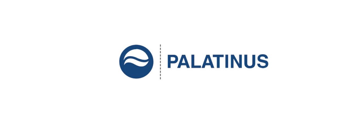 Palatinus Strand Baths