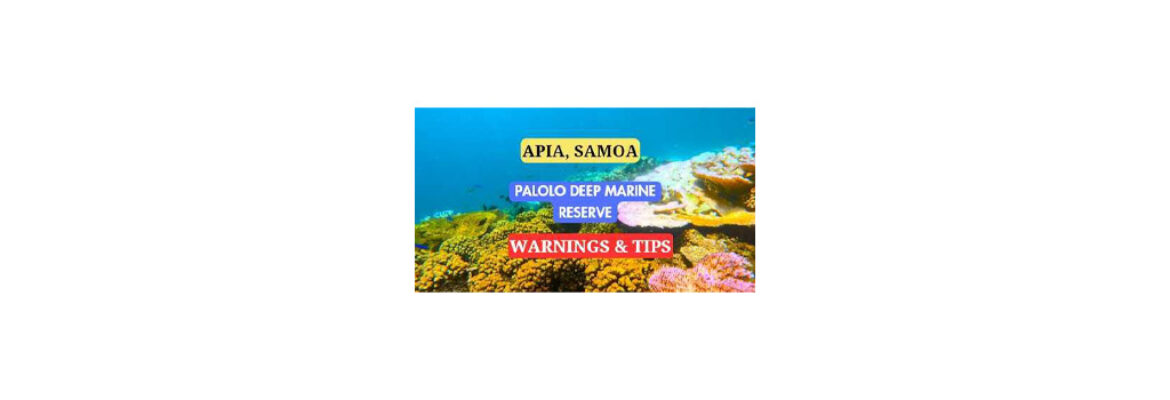 Palolo Deep Marine Reserve