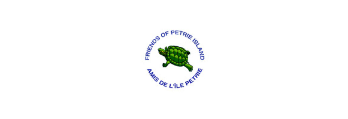 Petrie Island Beach