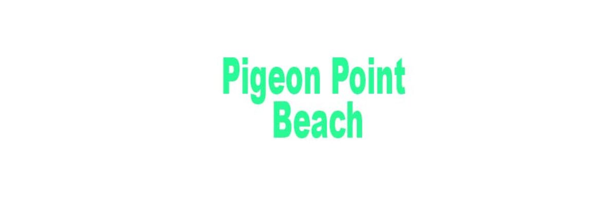 Pigeon Point Beach