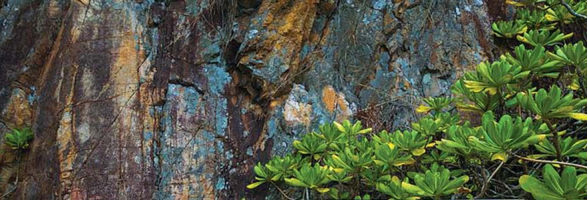 Rock Carving on Kau Sai Chau