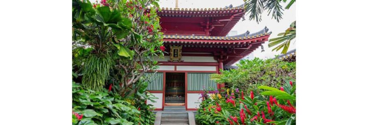 Rooftop Garden Toothrelic Temple