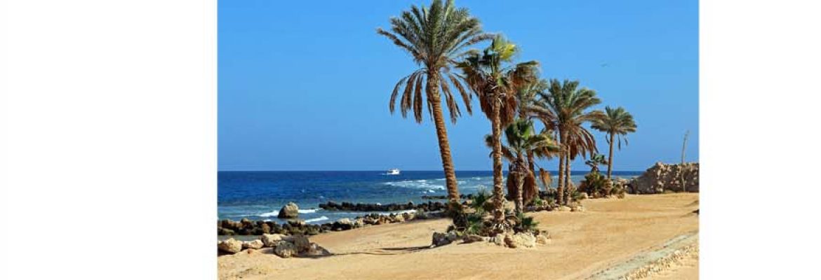 Sahl an Numayyish Beach