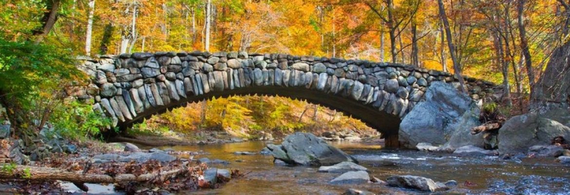Rock Creek Park