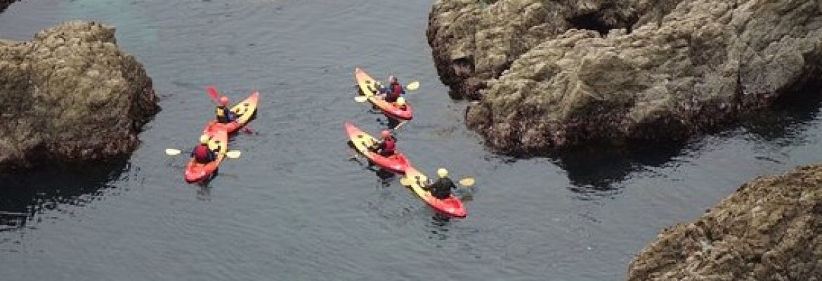 Lizard Adventures Kayaking