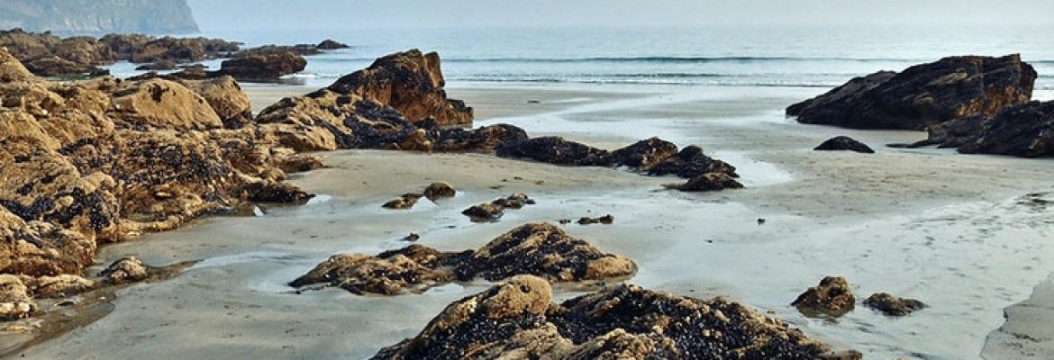 Portscatho Beach