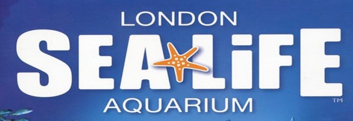 Sea life Centre London Aquarium