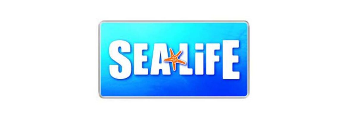 Sea Life